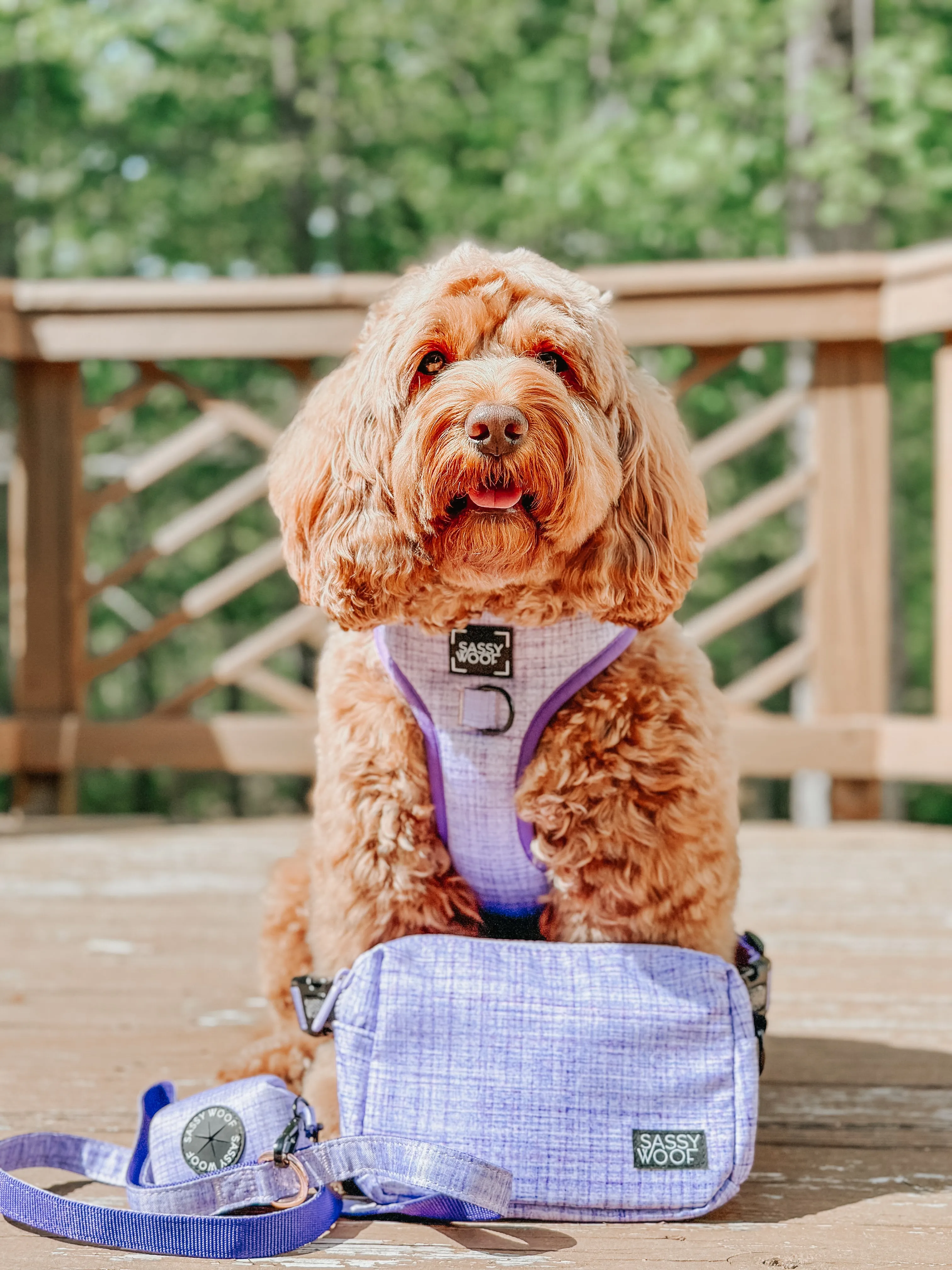 Aurora Woof Pack Bag