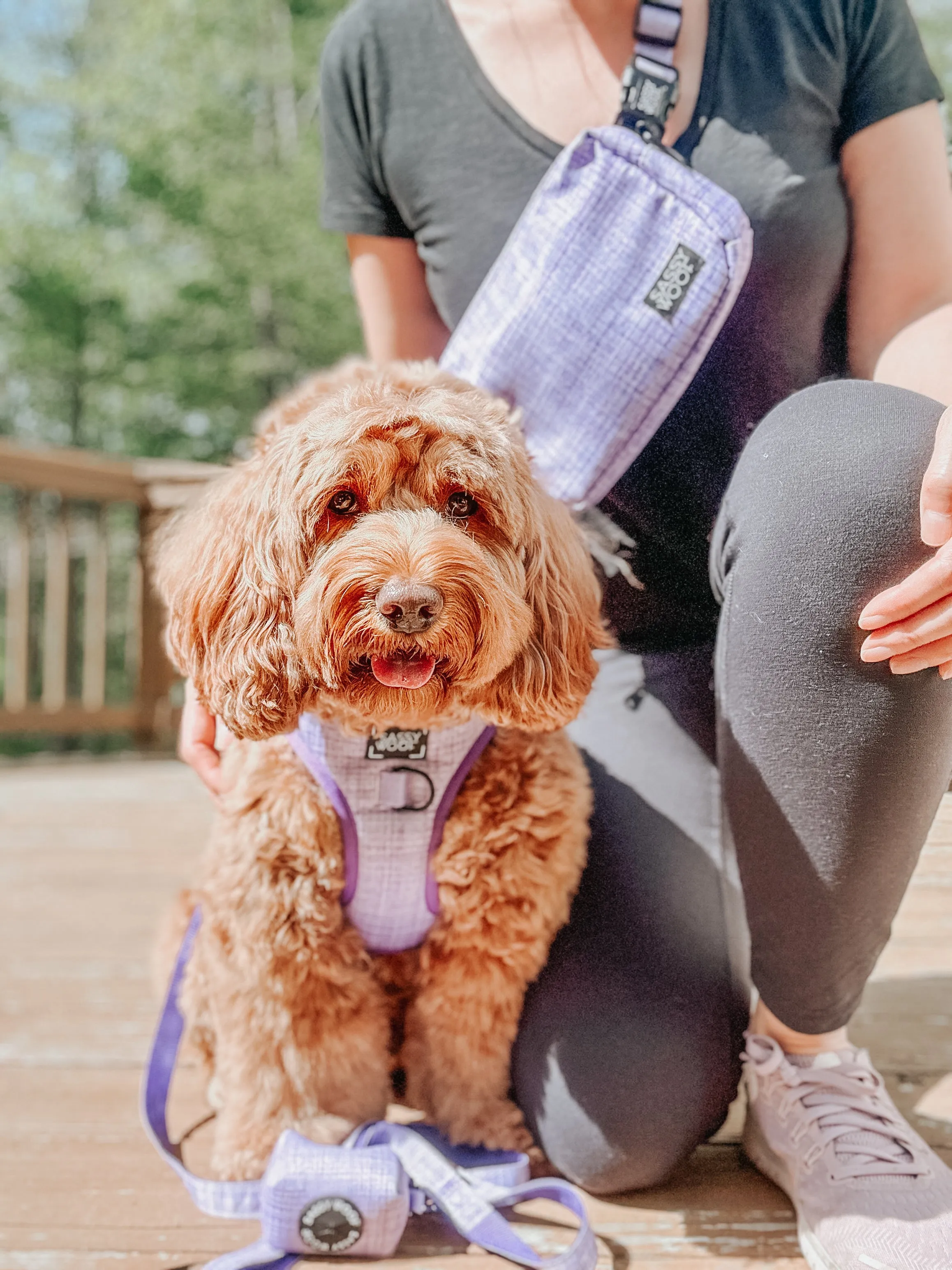Aurora Woof Pack Bag