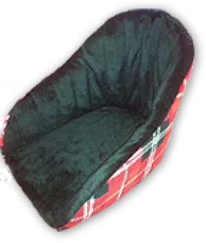 Buddyrider Booster