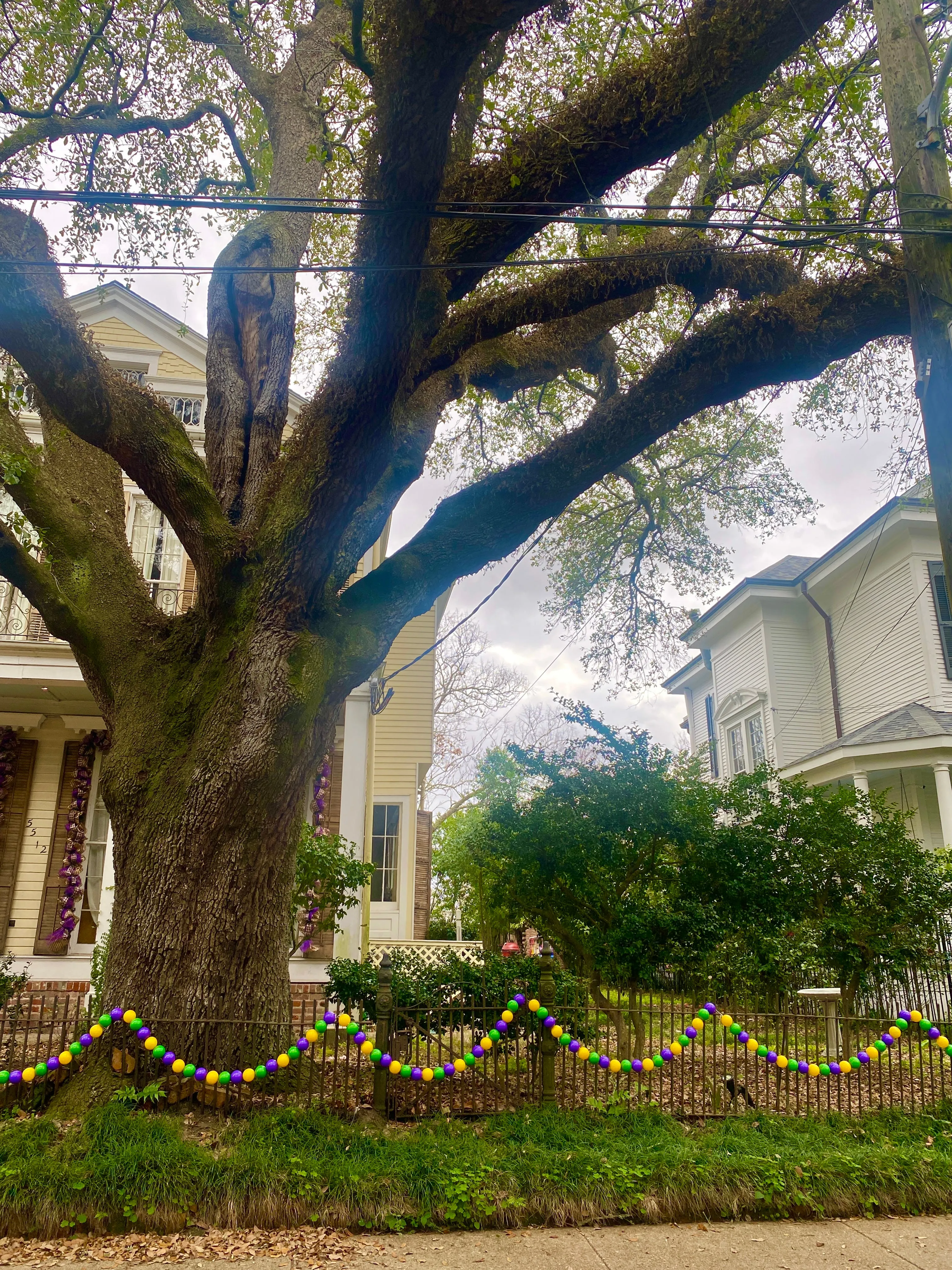 DIY House Bead Garland Stringing KIT