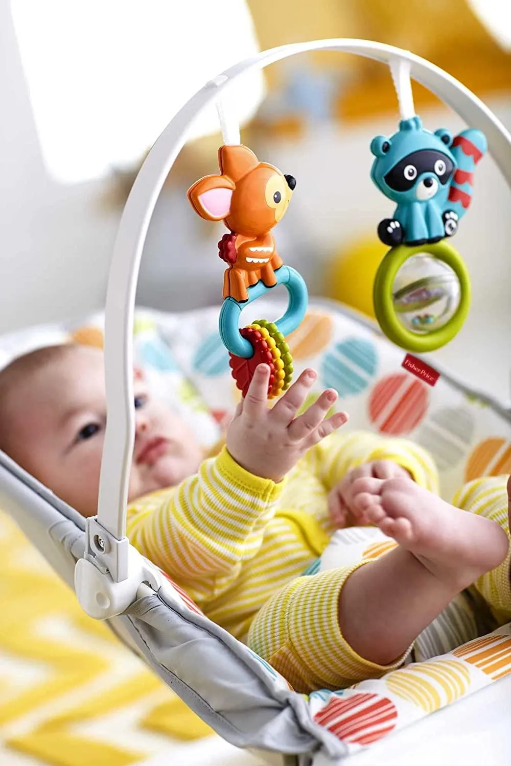 Fisher-Price Comfort Curve Bouncer