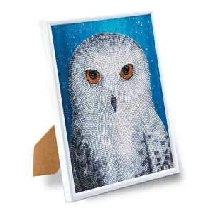 "Snowy Owl by Night" by Rachel Froud Crystal Art Framed Kit 21x25cm