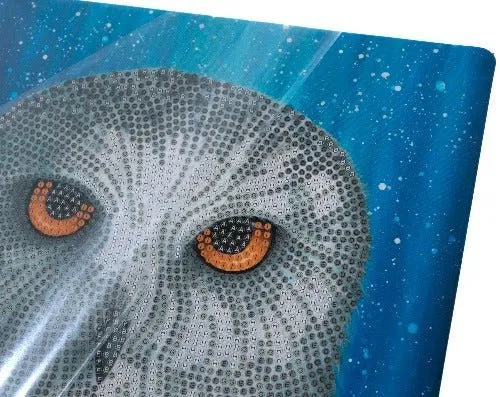"Snowy Owl by Night" by Rachel Froud Crystal Art Framed Kit 21x25cm