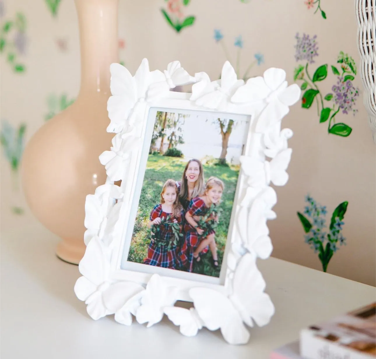 White Butterfly Frame