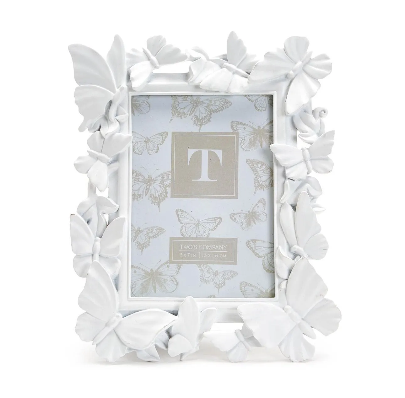 White Butterfly Frame